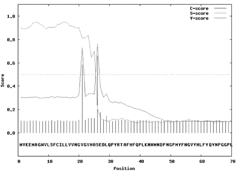 Helianthus tuberosus fructan-exohydrolases (Ht-FEH) gene and application thereof