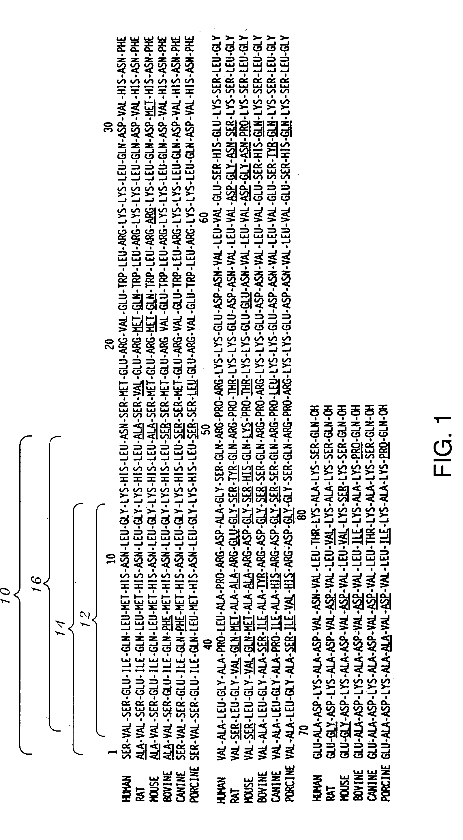 Antibodies and peptide antigens for producing antibodies having a selective binding specificity to bioactive intact parathyroid hormone (PTH) 1-84