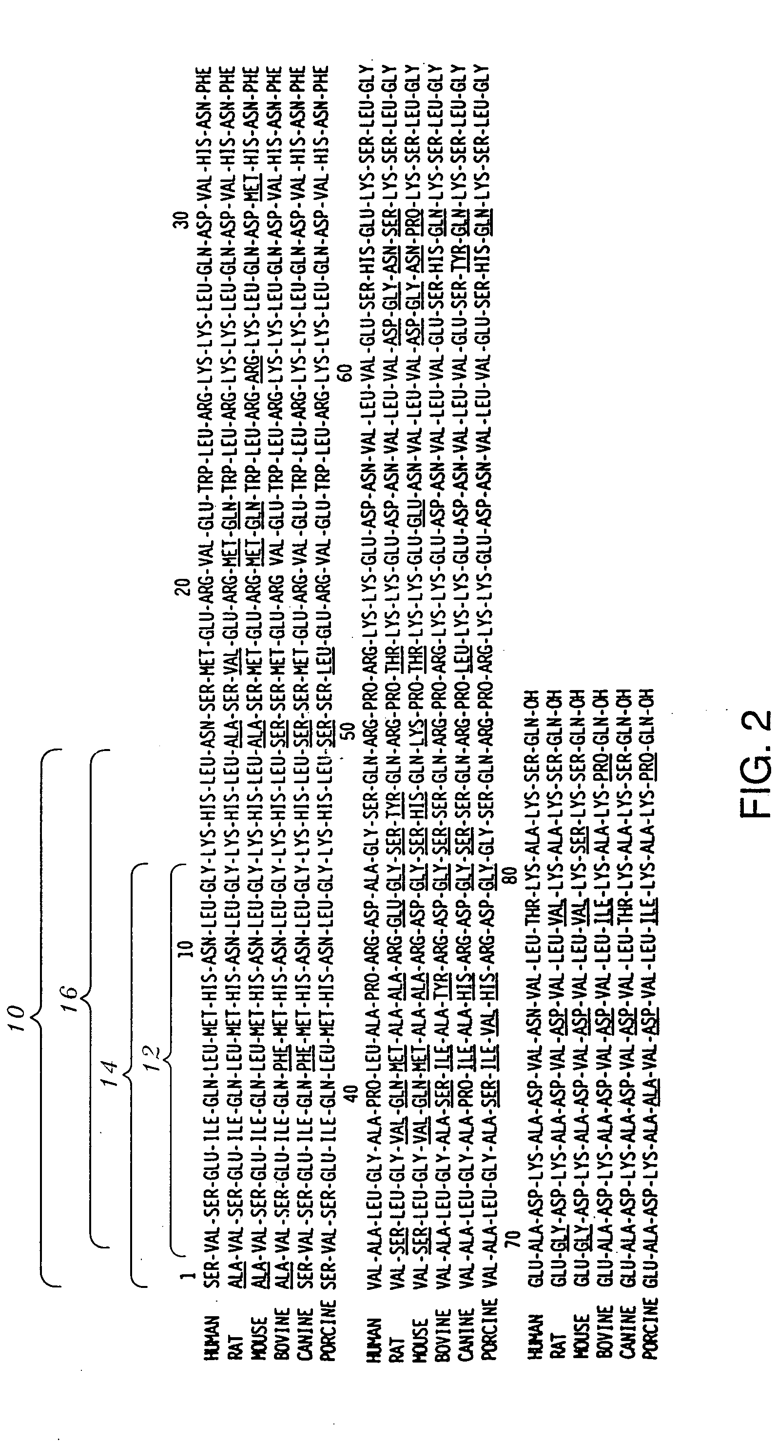 Antibodies and peptide antigens for producing antibodies having a selective binding specificity to bioactive intact parathyroid hormone (PTH) 1-84