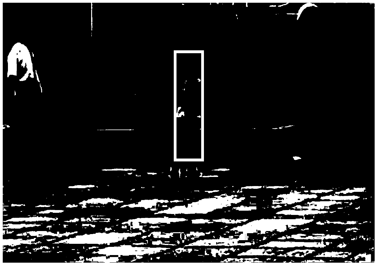 Target tracking method based on inter-frame constraint super-pixel encoding