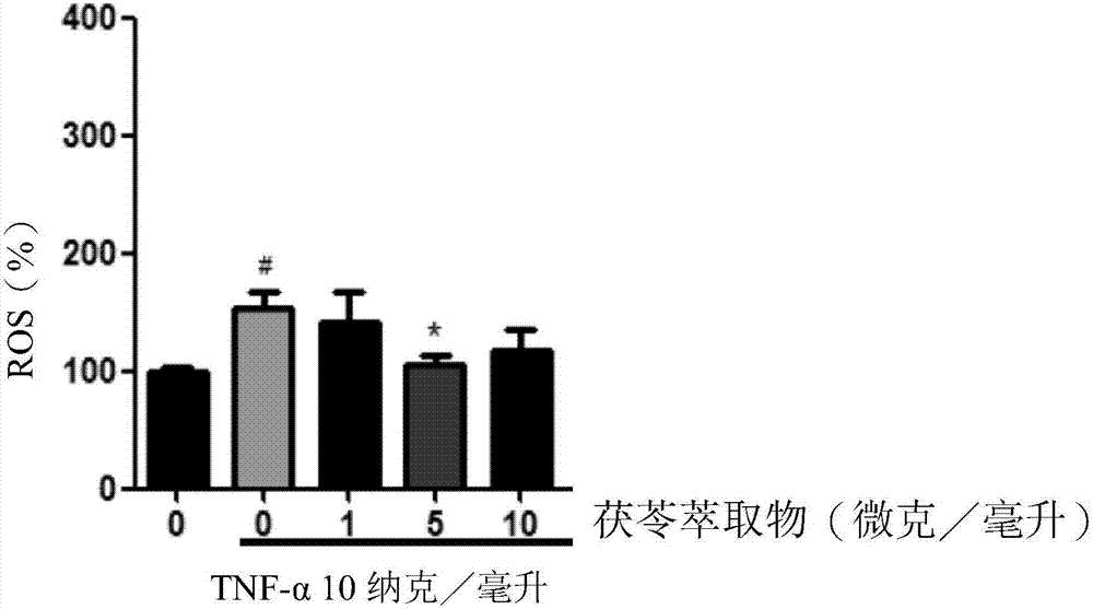 Uses of poria cocos extract and tumulosic acid in protecting muscles