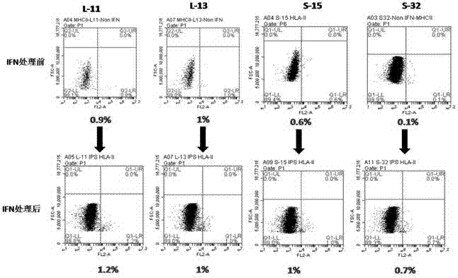 Reprogramming method for induced pluripotent stem cells