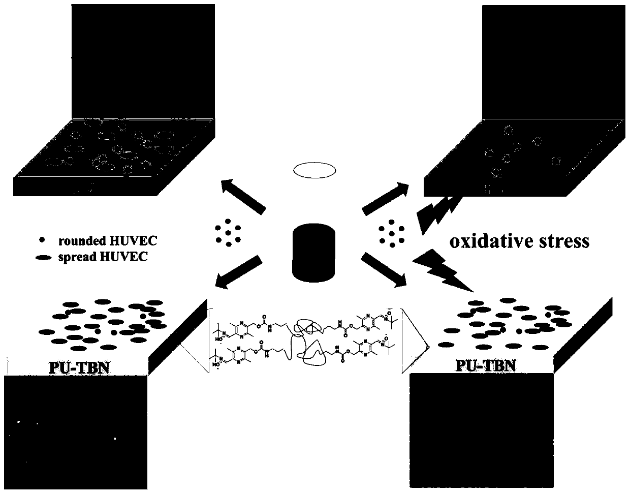 Difunctional polyurethane and preparation method and application thereof