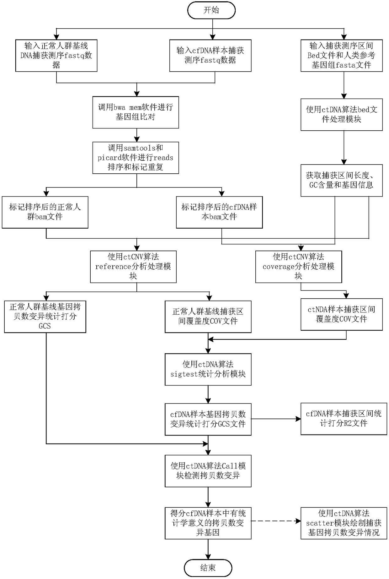 Circulating tumor DNA copy number variation detection method and apparatus