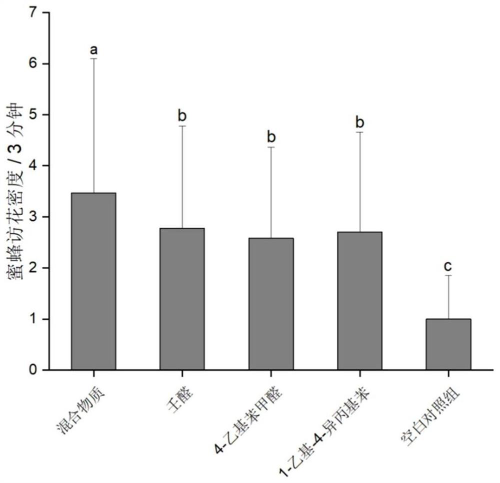 A kind of bee attractant and its application and method for luring bees to pollinate tomato flowers