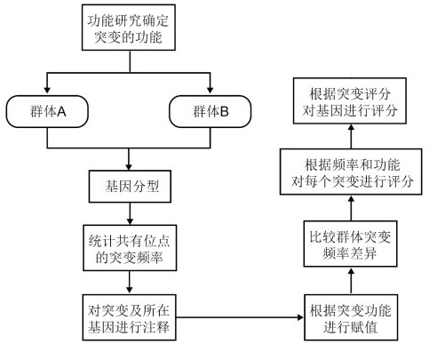 Population genetic difference comparison method based on mutation function