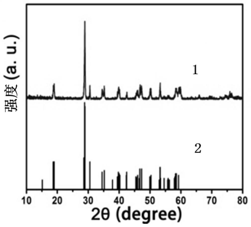 Preparation method of rare earth upconversion nanoparticle/bismuth vanadate nano composite material with antitumor effect