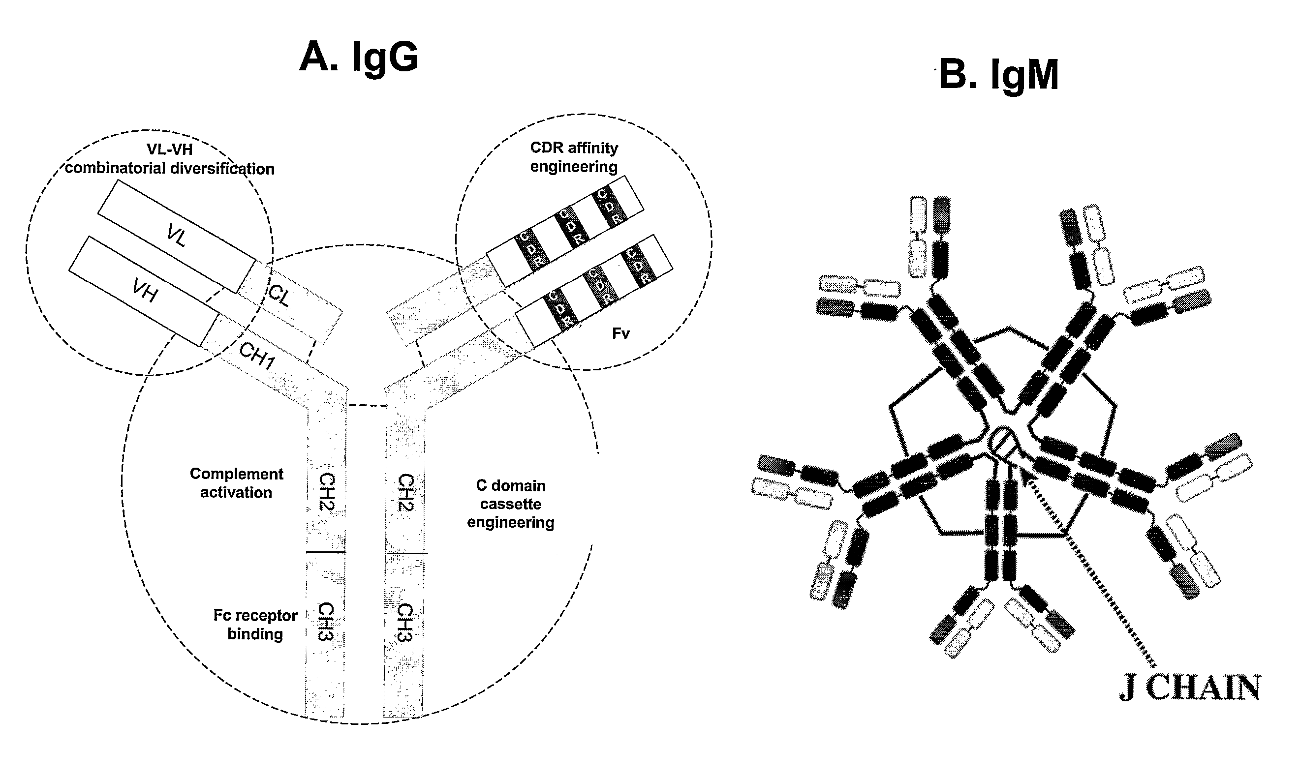 Lupus antibodies for passive immunotherapy of hiv/aids