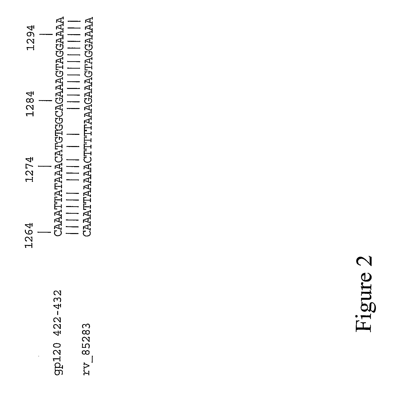 Lupus antibodies for passive immunotherapy of hiv/aids