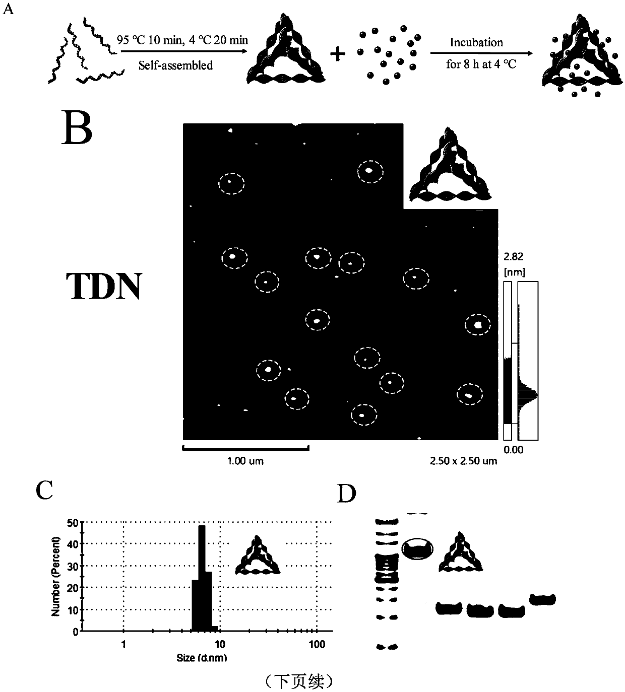 DNA tetrahedron-wogonin compound and preparation method and application thereof