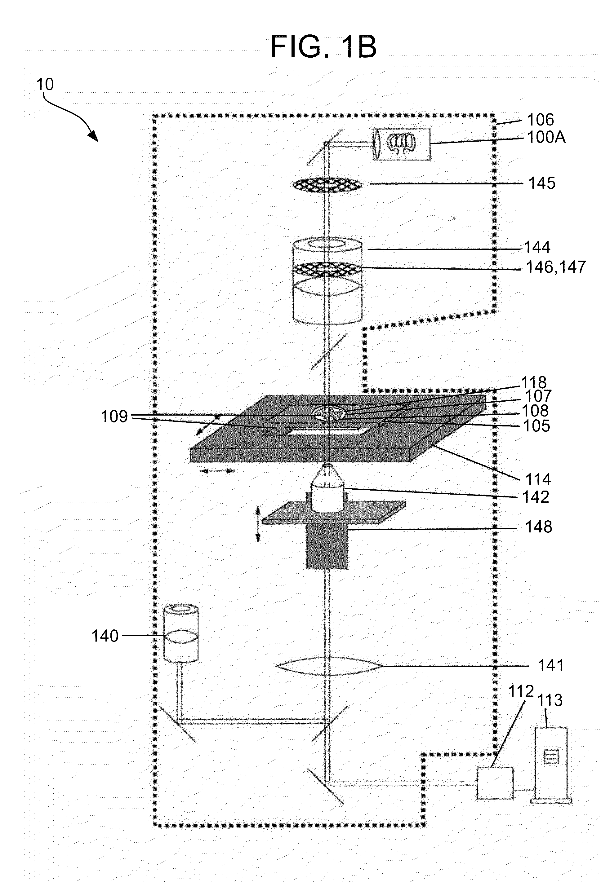 Methods and apparatuses for detection of positional freedom of particles in biological and chemical analyses and applications in immunodiagnostics