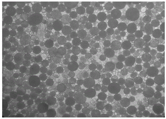 Hygienic insecticide microcapsules and preparation method thereof