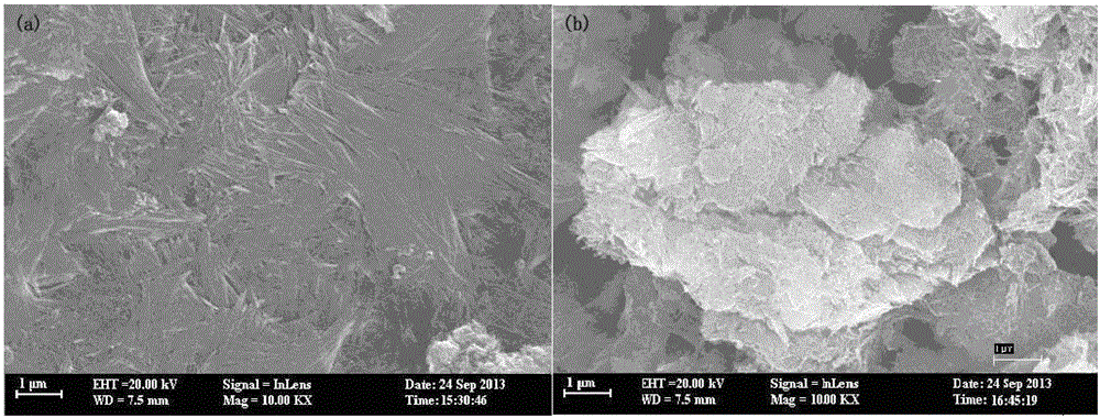 Modifying preparation and application of tertiary amine oxide modified attapulgite adsorbent containing rosinyl ternary phenanthrene ring structure