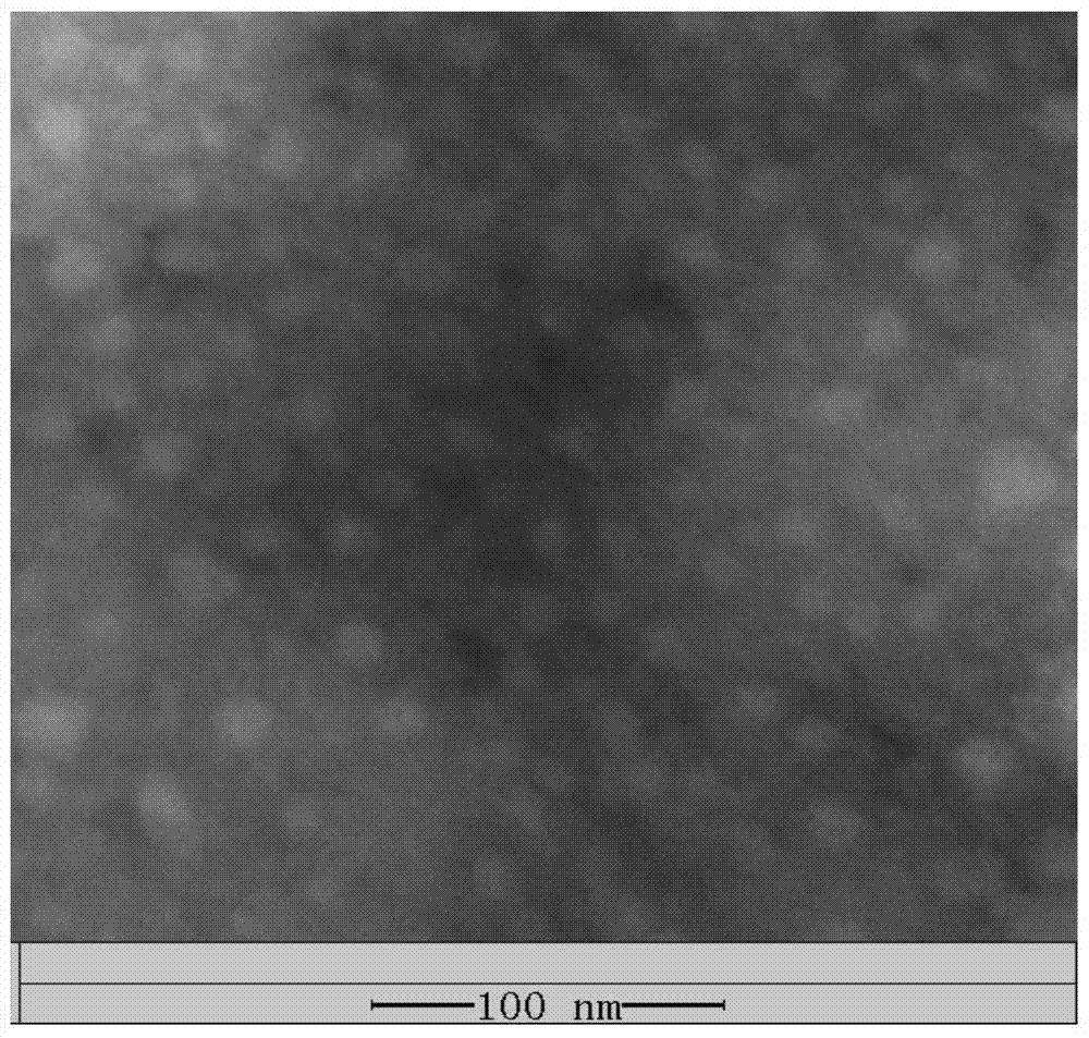 Biological protein two-dimensional nano film prepared by lysozyme and preparation method thereof