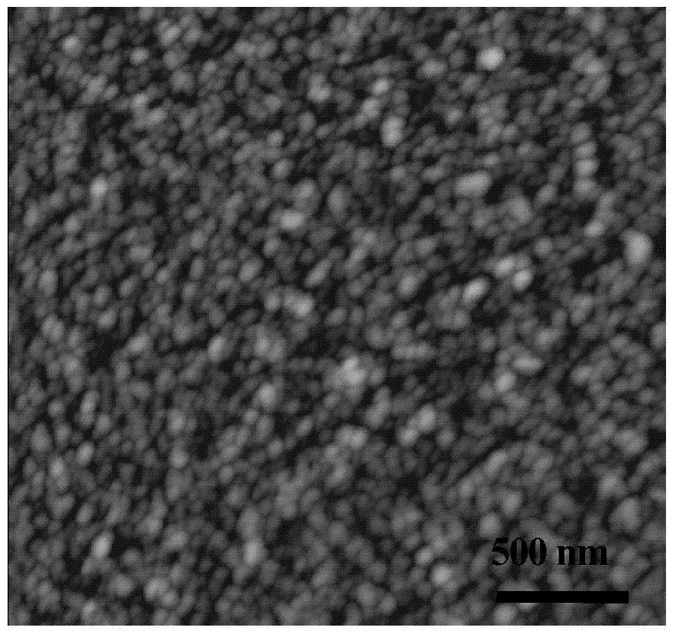 Biological protein two-dimensional nano film prepared by lysozyme and preparation method thereof