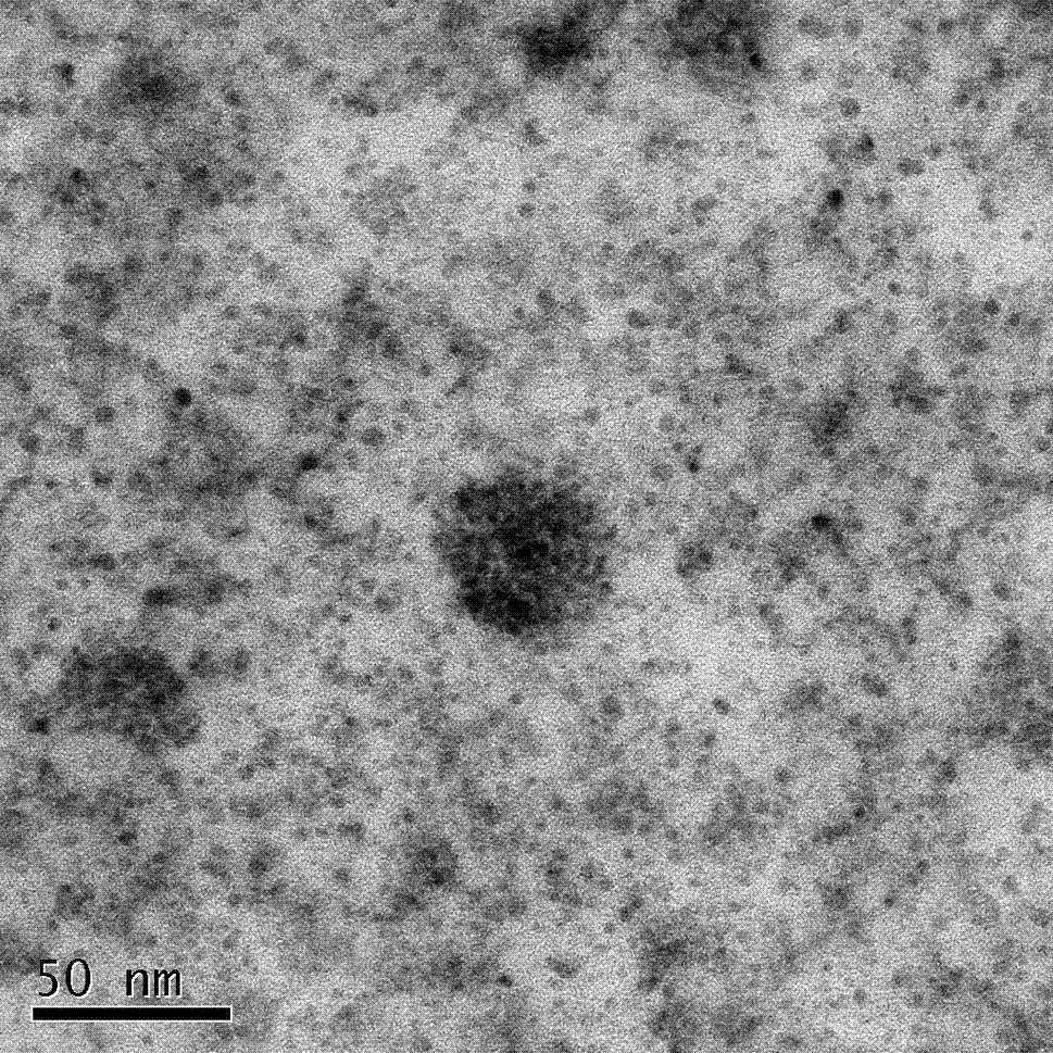 Low-density lipoprotein coupled N-succinyl chitosan nanoparticle vector, and preparation method and application thereof