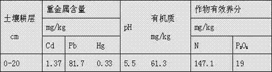 Method for restoring paddy cadmium pollution by combining water management with passivator adding