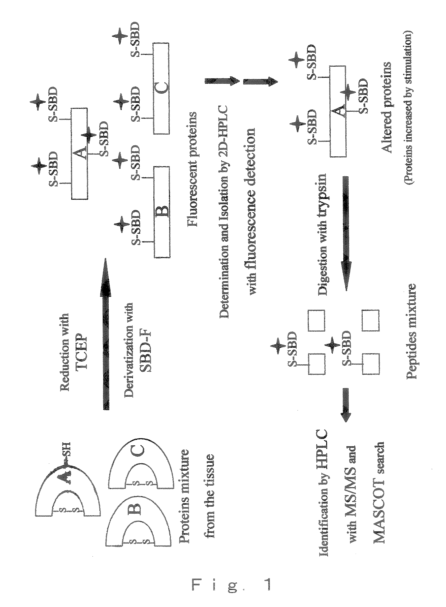 Method of detection, separation and identification for expressed trace protein/peptide