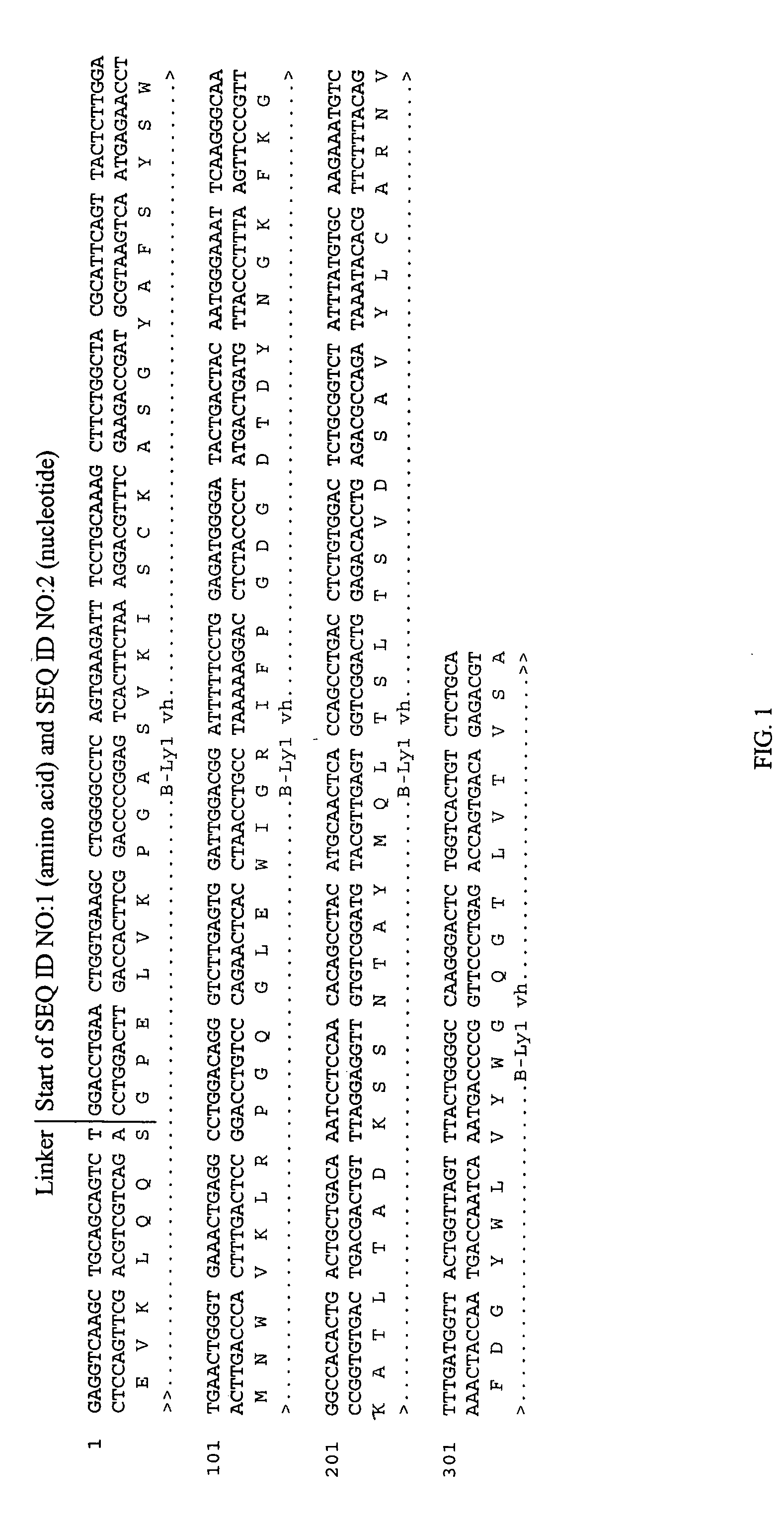 Antigen binding molecules with increased Fc receptor binding affinity and effector function
