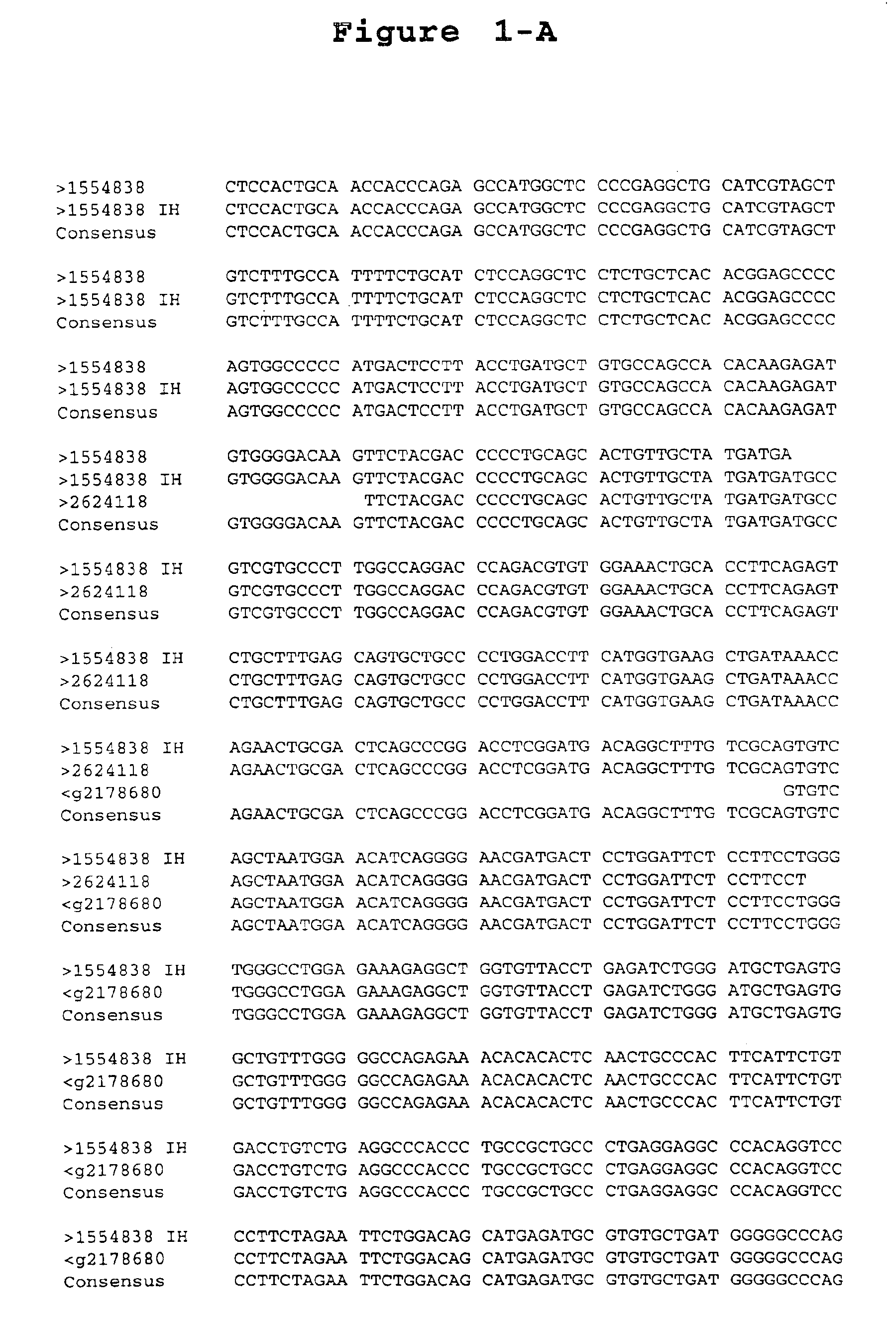 Reagents and methods useful for detecting diseases of the urinary tract