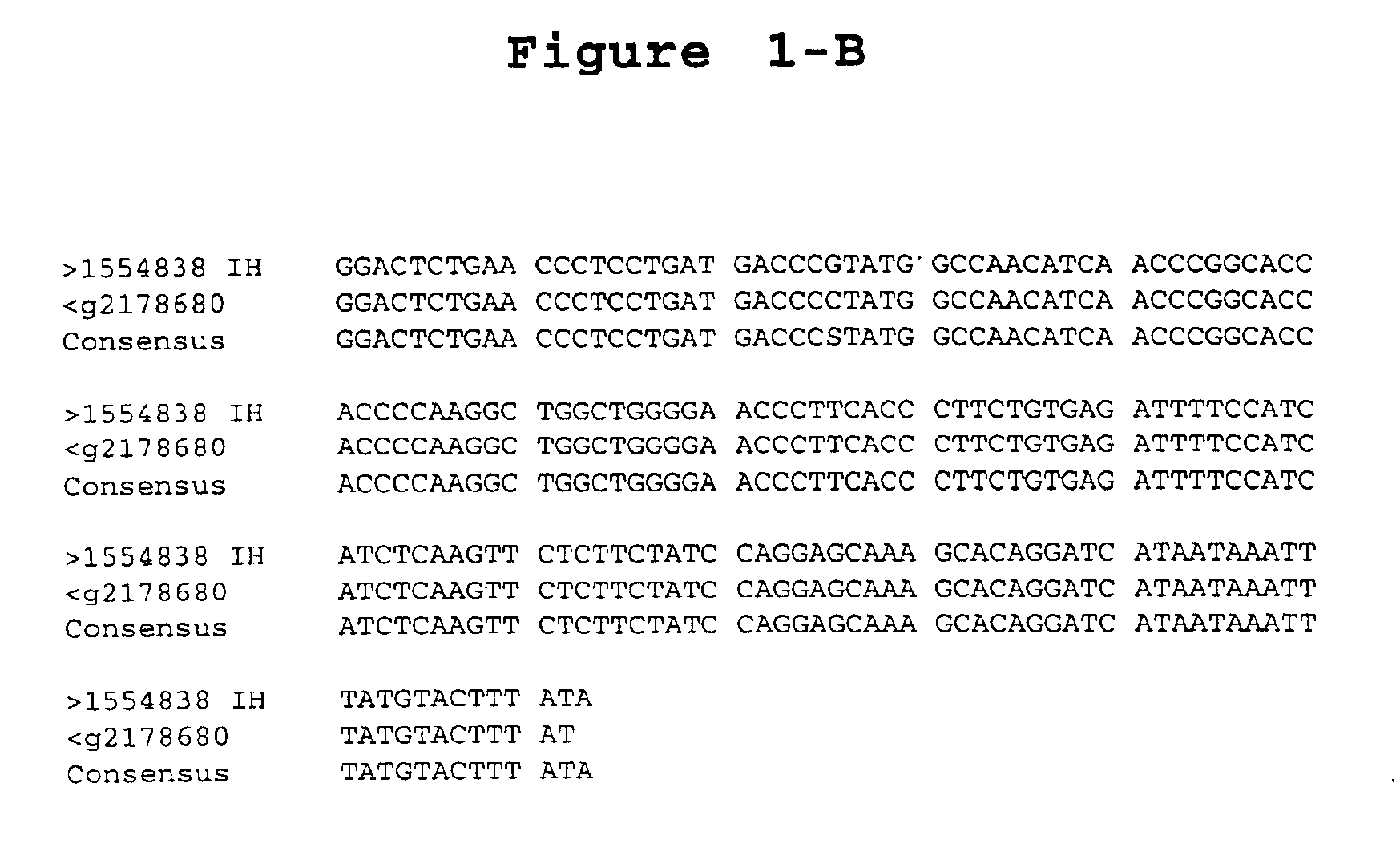 Reagents and methods useful for detecting diseases of the urinary tract