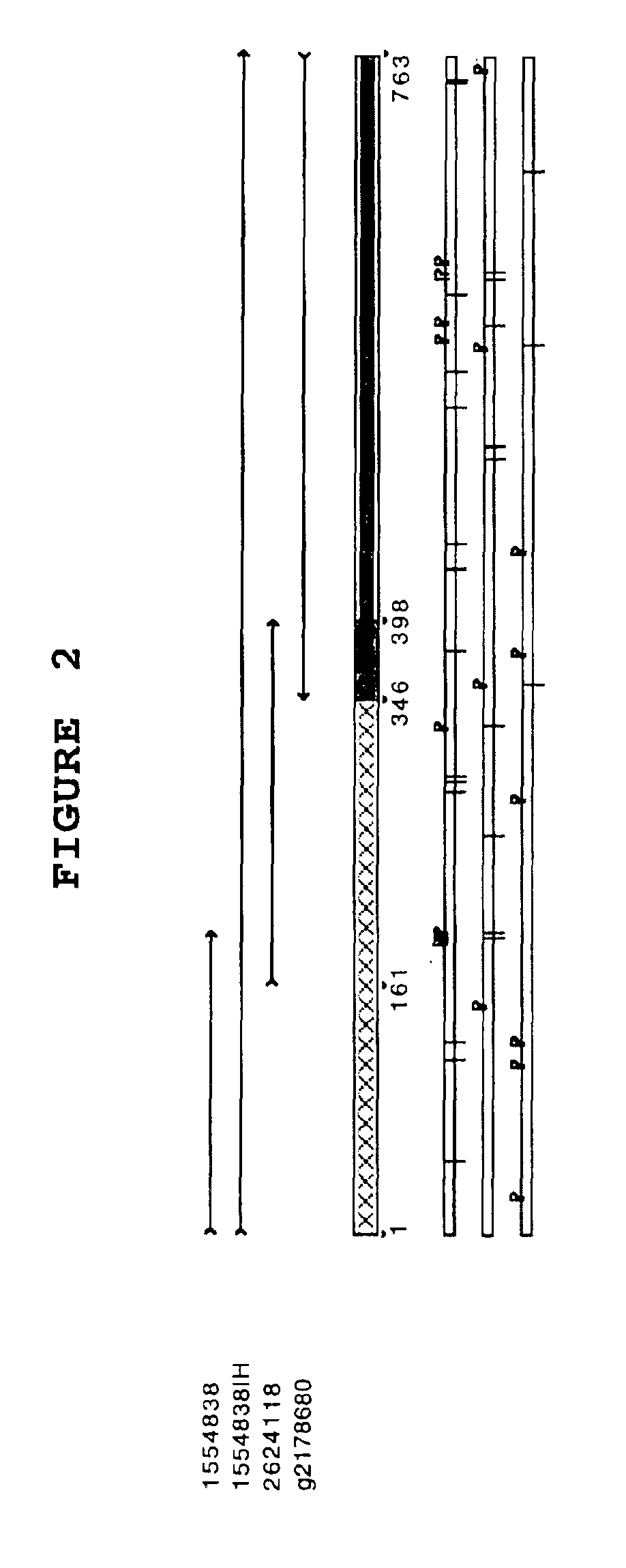 Reagents and methods useful for detecting diseases of the urinary tract