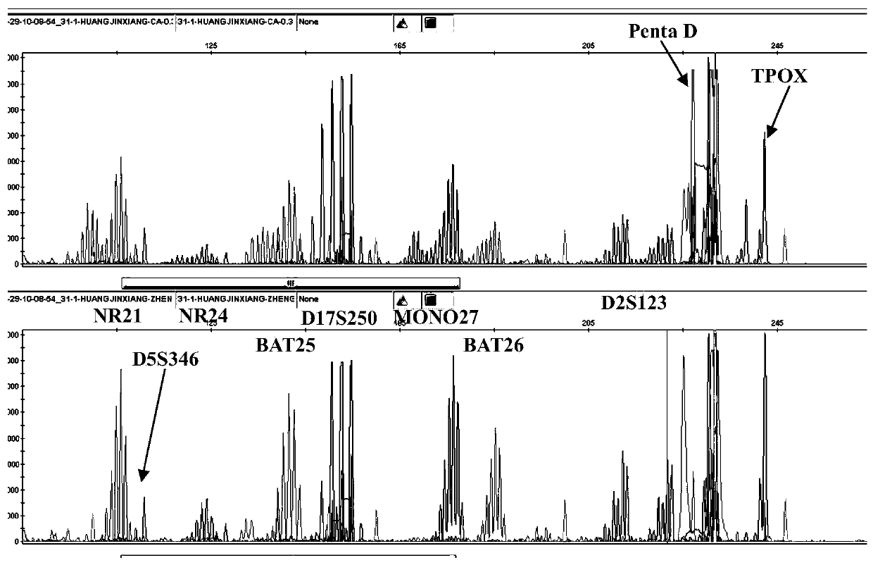 Microsatellite unstable state detection kit and detection method thereof