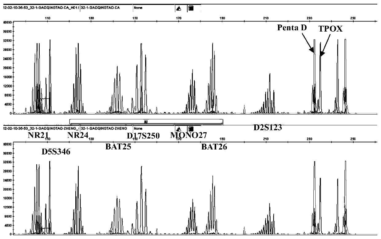 Microsatellite unstable state detection kit and detection method thereof