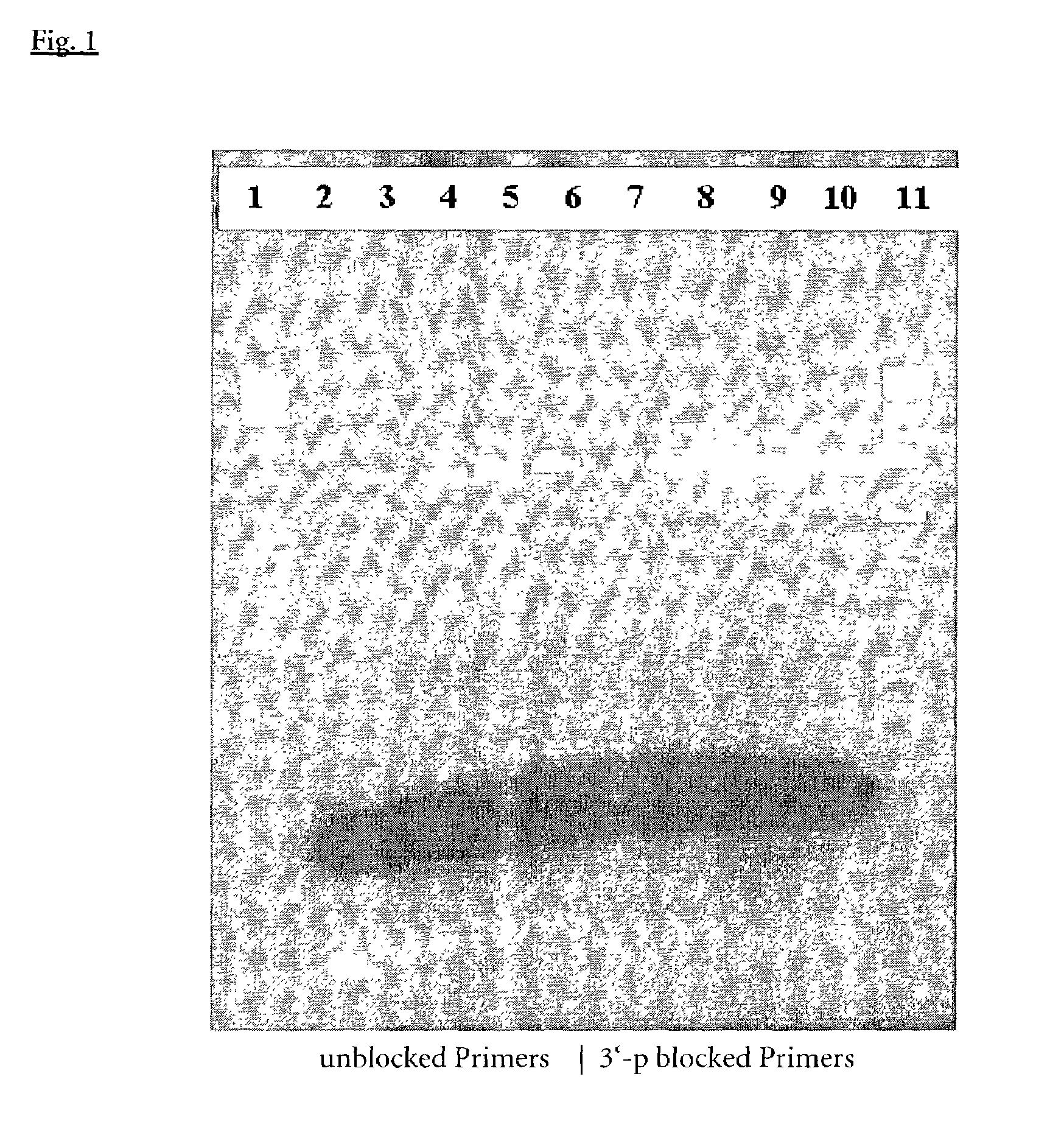 Composition and method for hot start nucleic acid amplification