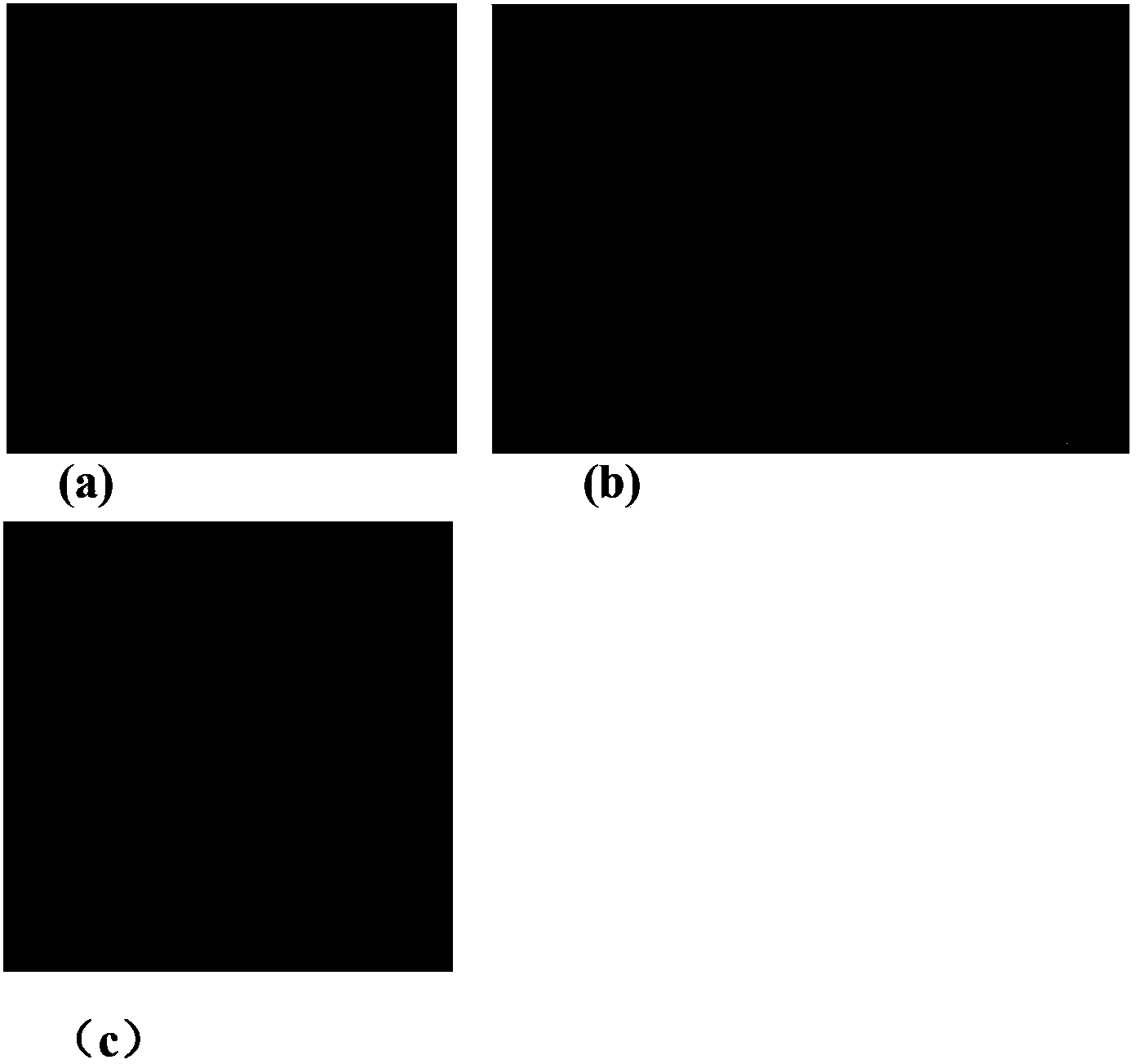 SAR slant range image match automatic extraction method based on geometric model