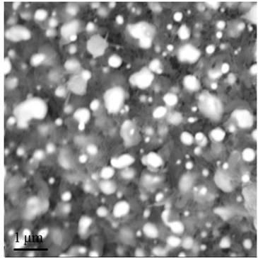 Technology for preparing Fe3O4/mesoporous carbon composite material by one-step synthesis process, and method for catalytic oxidation degradation of sulfamethazine by using composite material