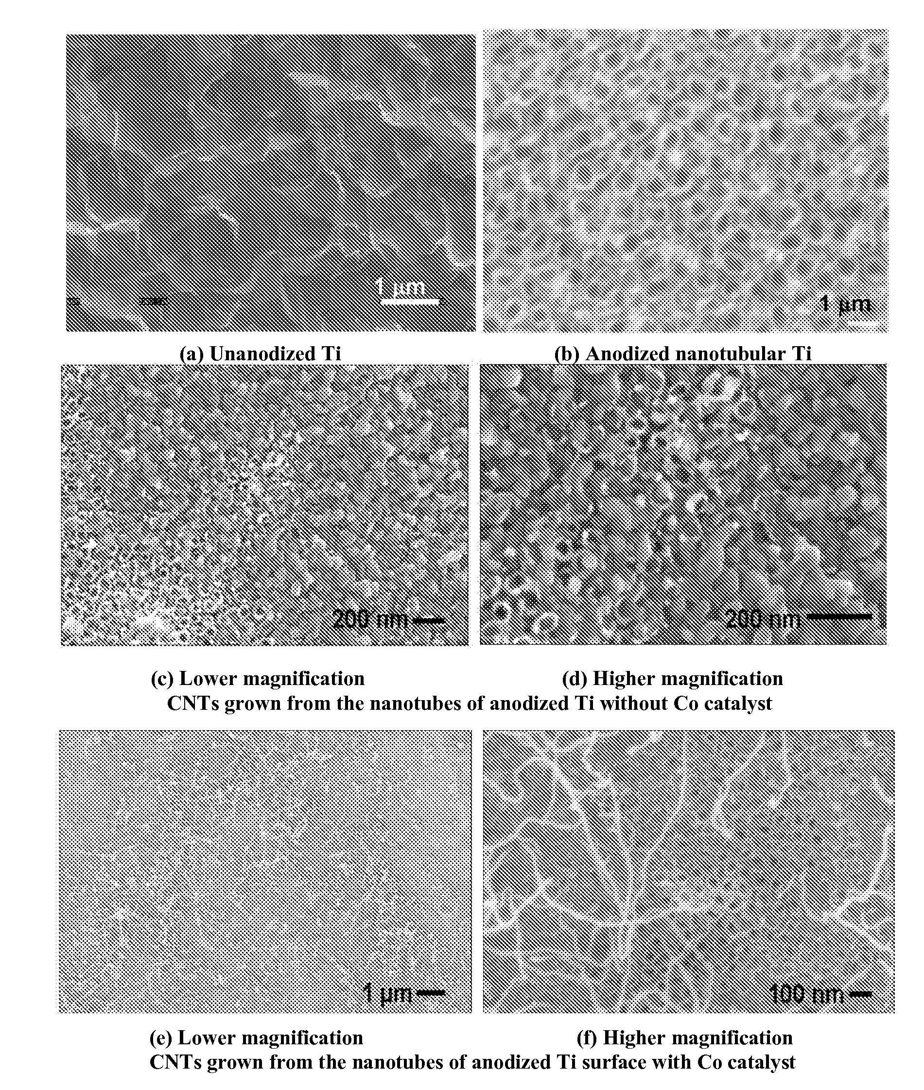 Method to enhance osteoblast functionality and measure electrochemical properties for a medical implant