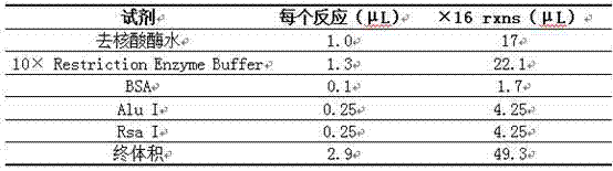 Duchenne muscular dystrophy (DMD) detection gene chip and kit and use method of kit