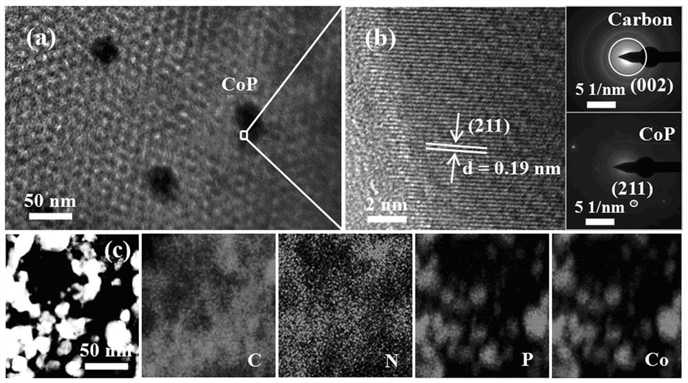 Cobalt phosphide/nitrogen-doped porous carbon composite counter electrode material for dye-sensitized solar cell and preparation method thereof