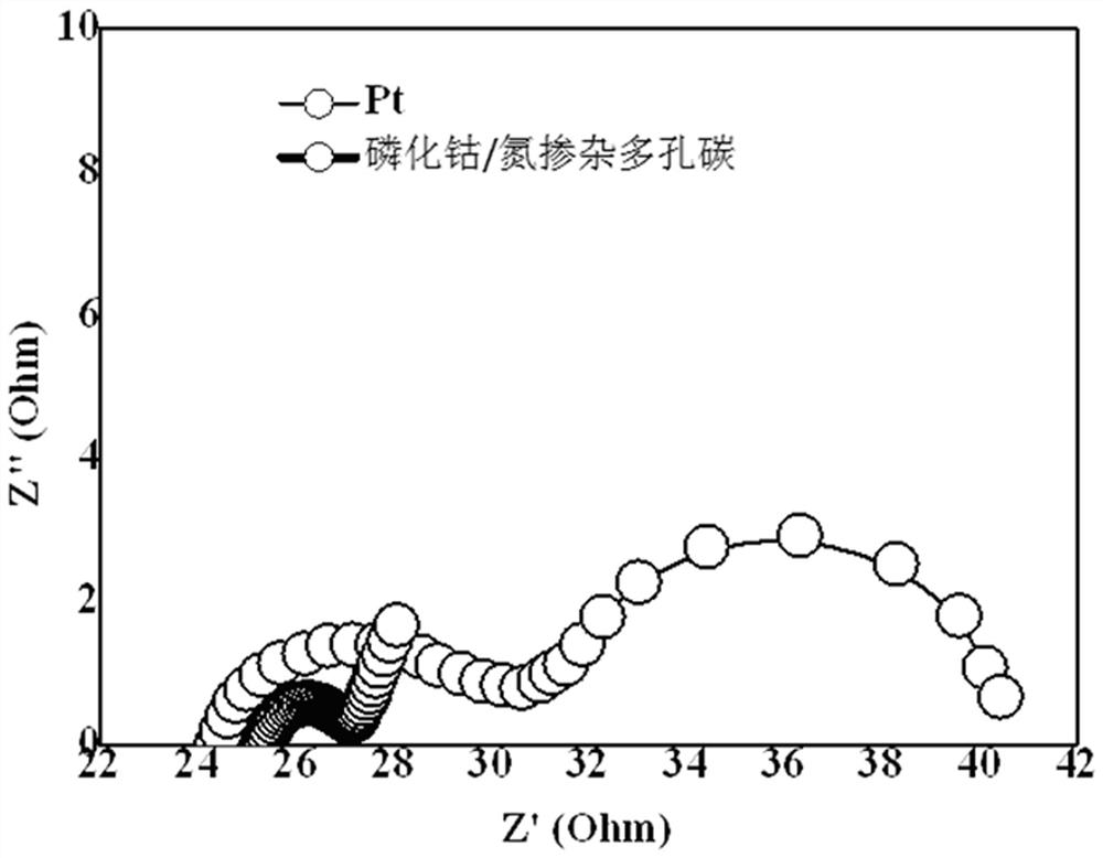 Cobalt phosphide/nitrogen-doped porous carbon composite counter electrode material for dye-sensitized solar cell and preparation method thereof