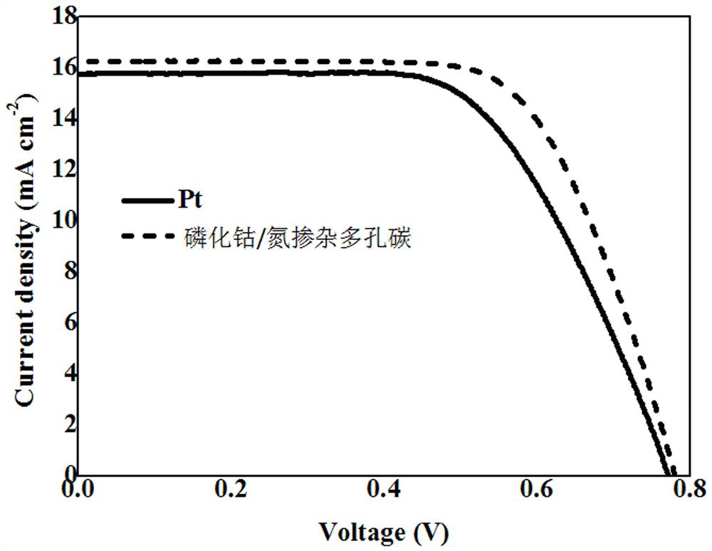 Cobalt phosphide/nitrogen-doped porous carbon composite counter electrode material for dye-sensitized solar cell and preparation method thereof