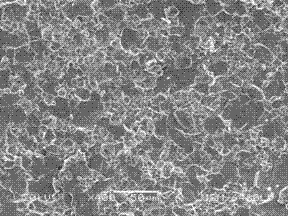 High performance soft magnetic composite Ni-Zn ferrite material