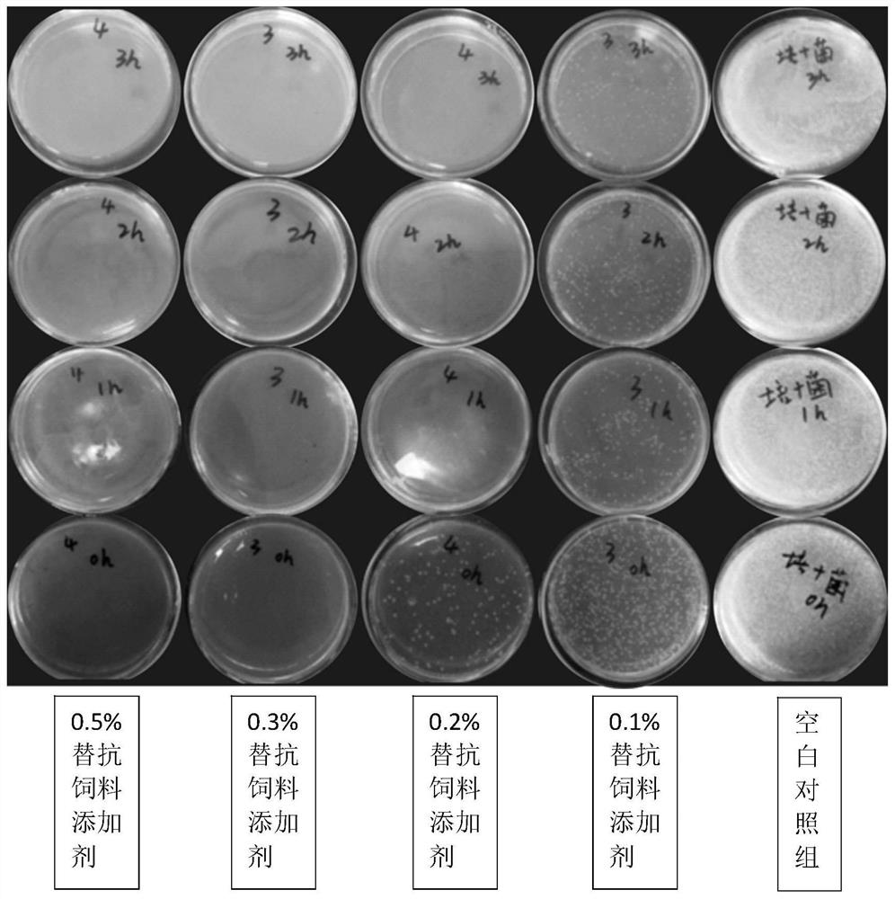 Feed additive replacing antibiotics and preparation method of feed additive