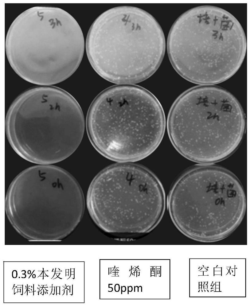 Feed additive replacing antibiotics and preparation method of feed additive