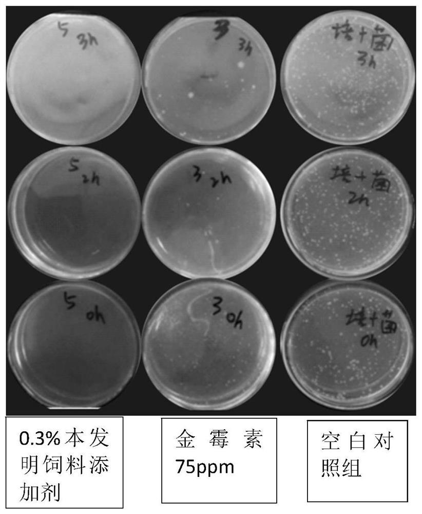 Feed additive replacing antibiotics and preparation method of feed additive