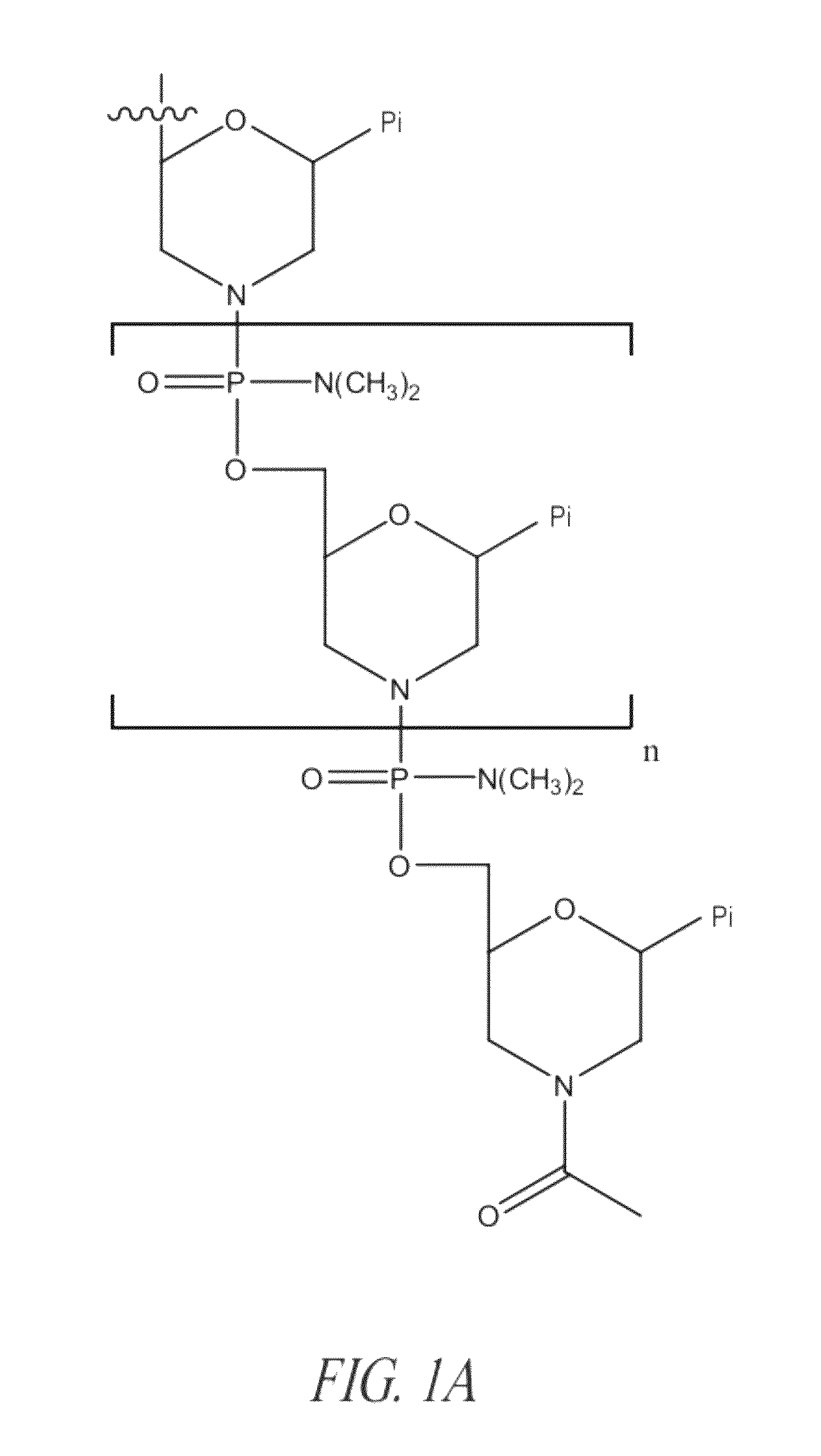 Peptide oligonucleotide conjugates