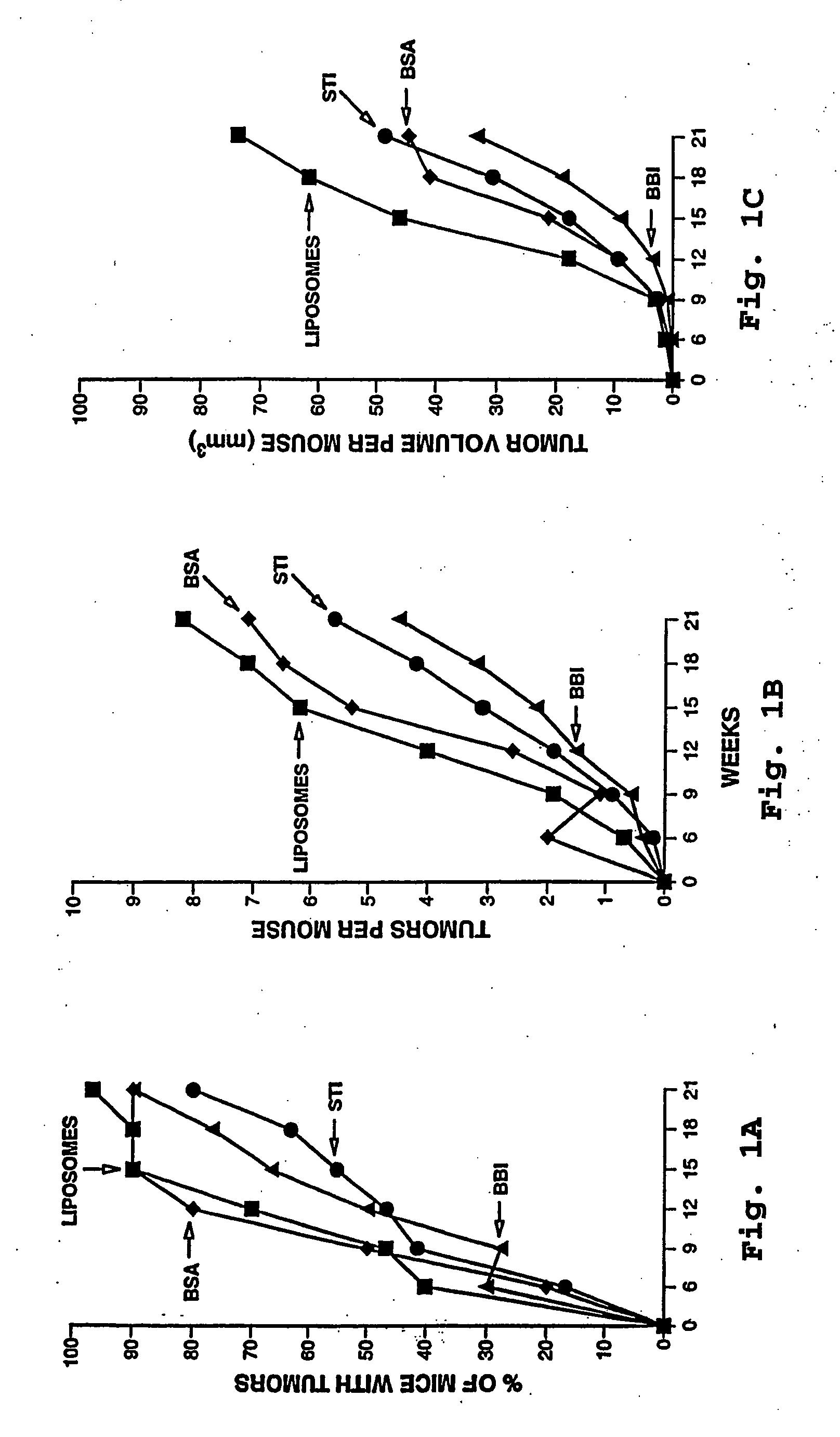 Topical anti-cancer compositions and methods of use thereof