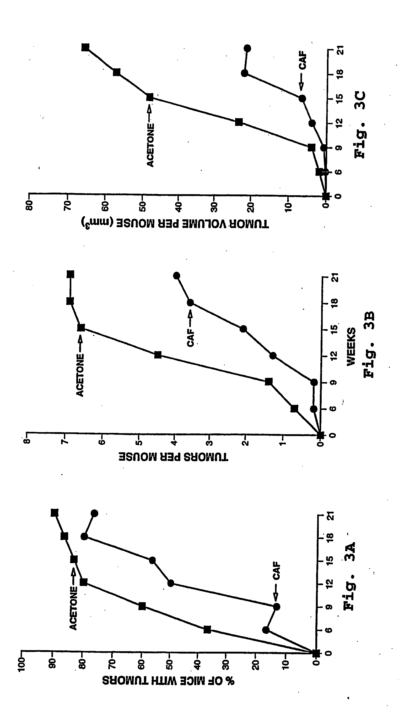 Topical anti-cancer compositions and methods of use thereof