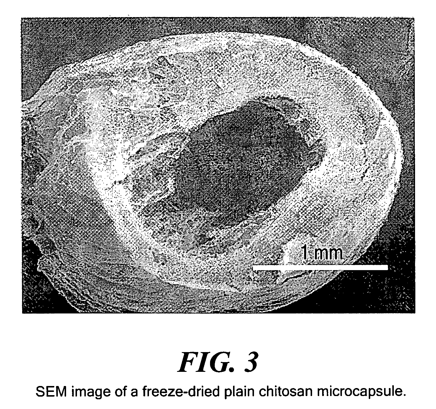 Hybrid immobilized catalytic system with controlled permeability