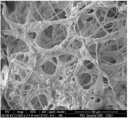 Photocatalytic biosorbent and its preparation method and application