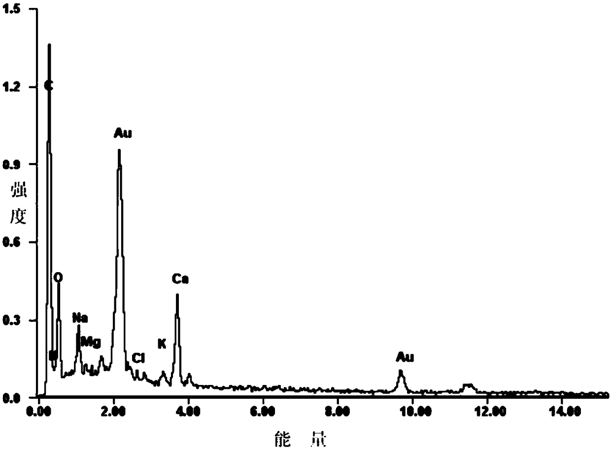 Photocatalytic biosorbent and its preparation method and application