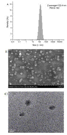 Adriamycin-loaded PEGylated peptide dendrimer targeted drug delivery system and preparation method thereof