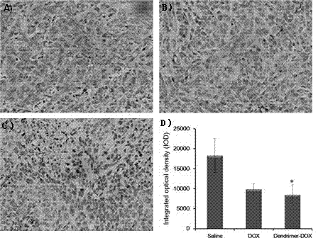 Adriamycin-loaded PEGylated peptide dendrimer targeted drug delivery system and preparation method thereof