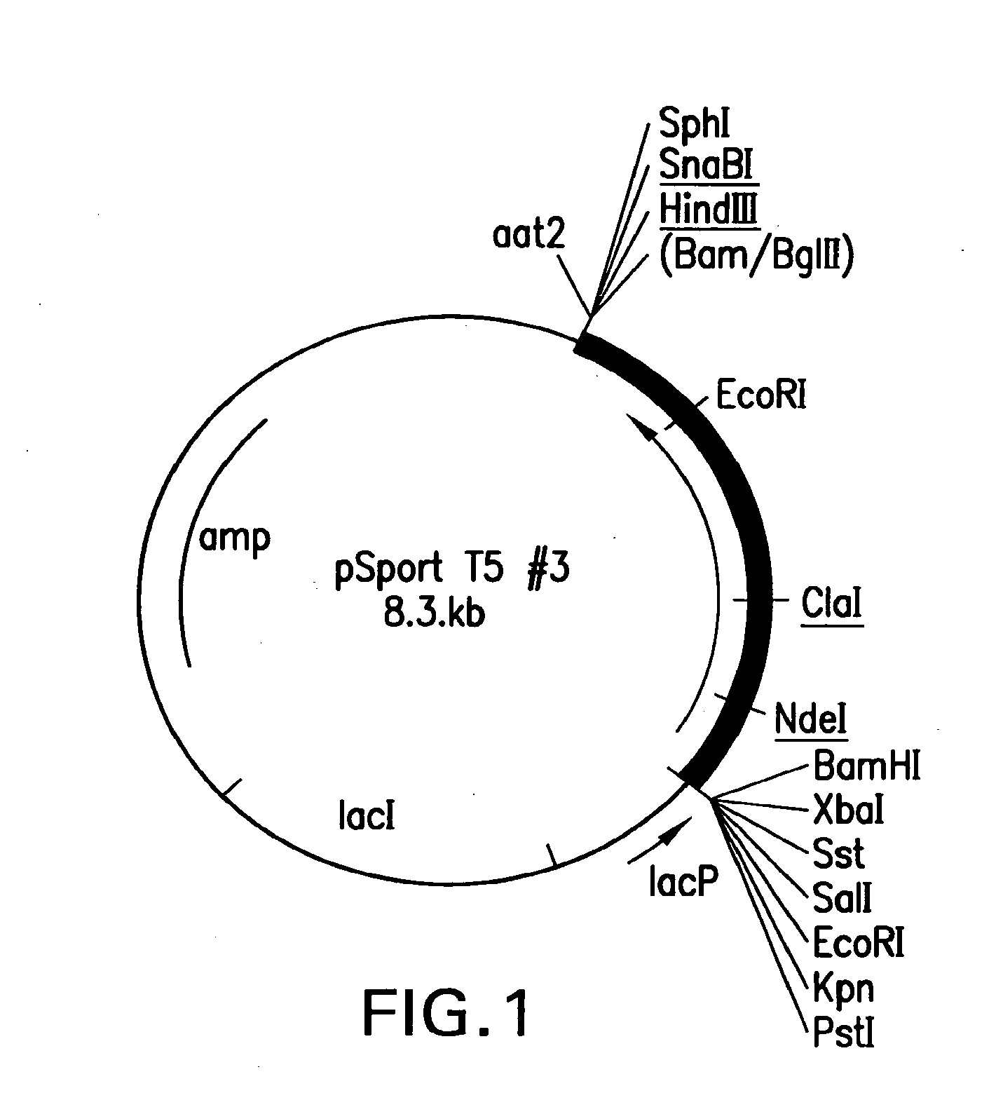 Mutant DNA polymerases and uses therof