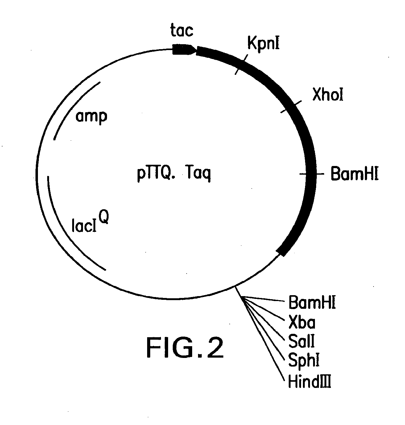 Mutant DNA polymerases and uses therof